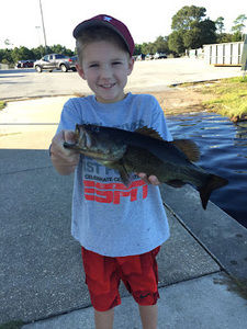 Meet your Posher, Brady